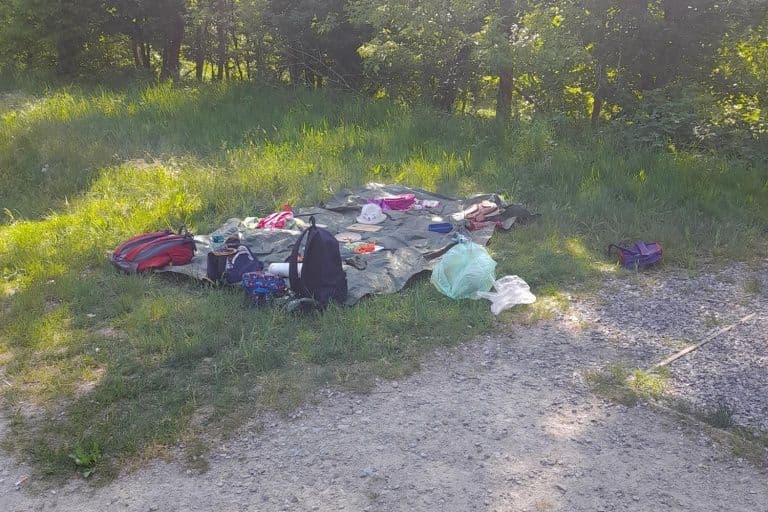 Ein Waldtag mit unseren Nest Kindern