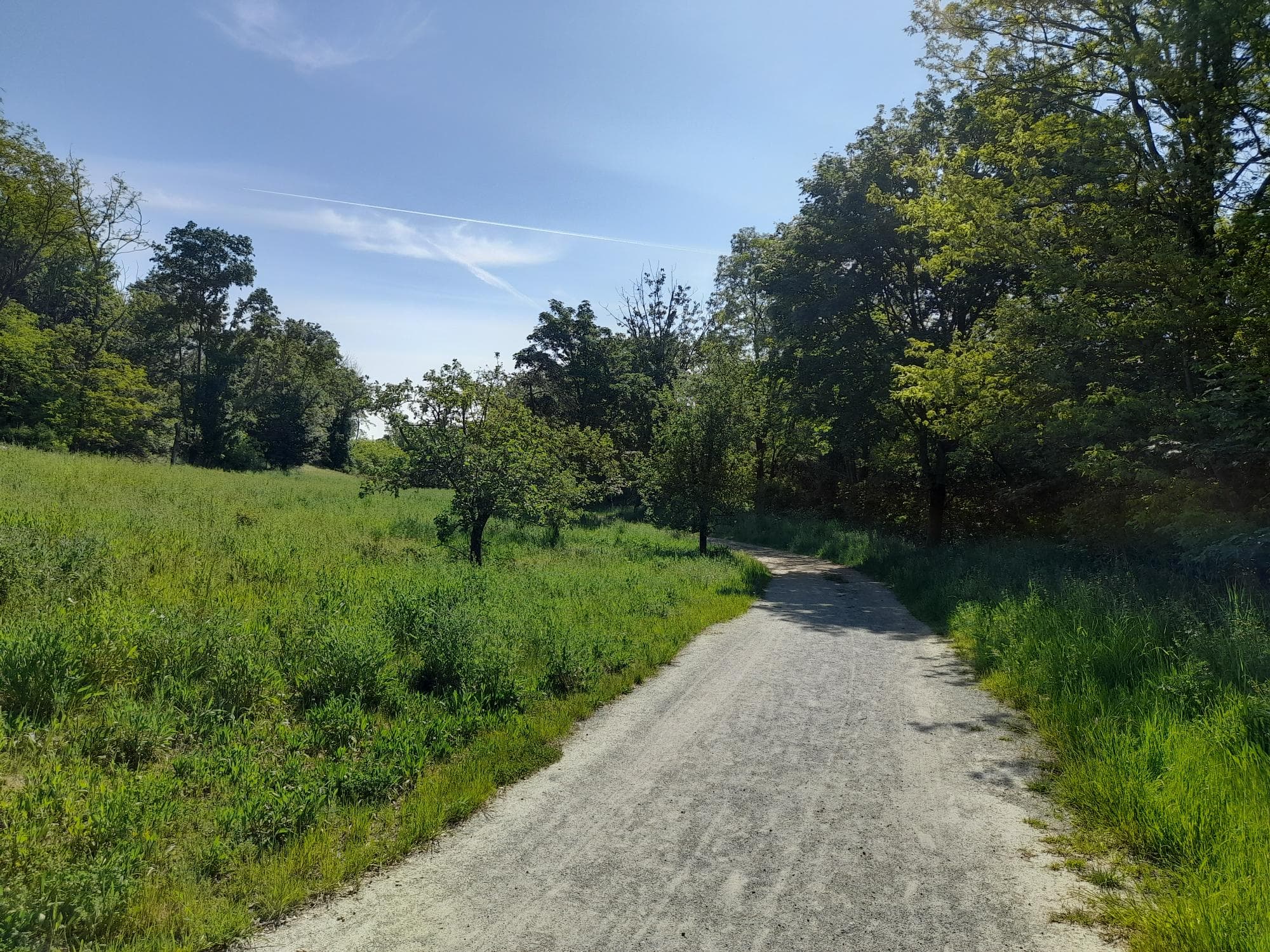 Ein Waldtag mit unseren Nest Kindern