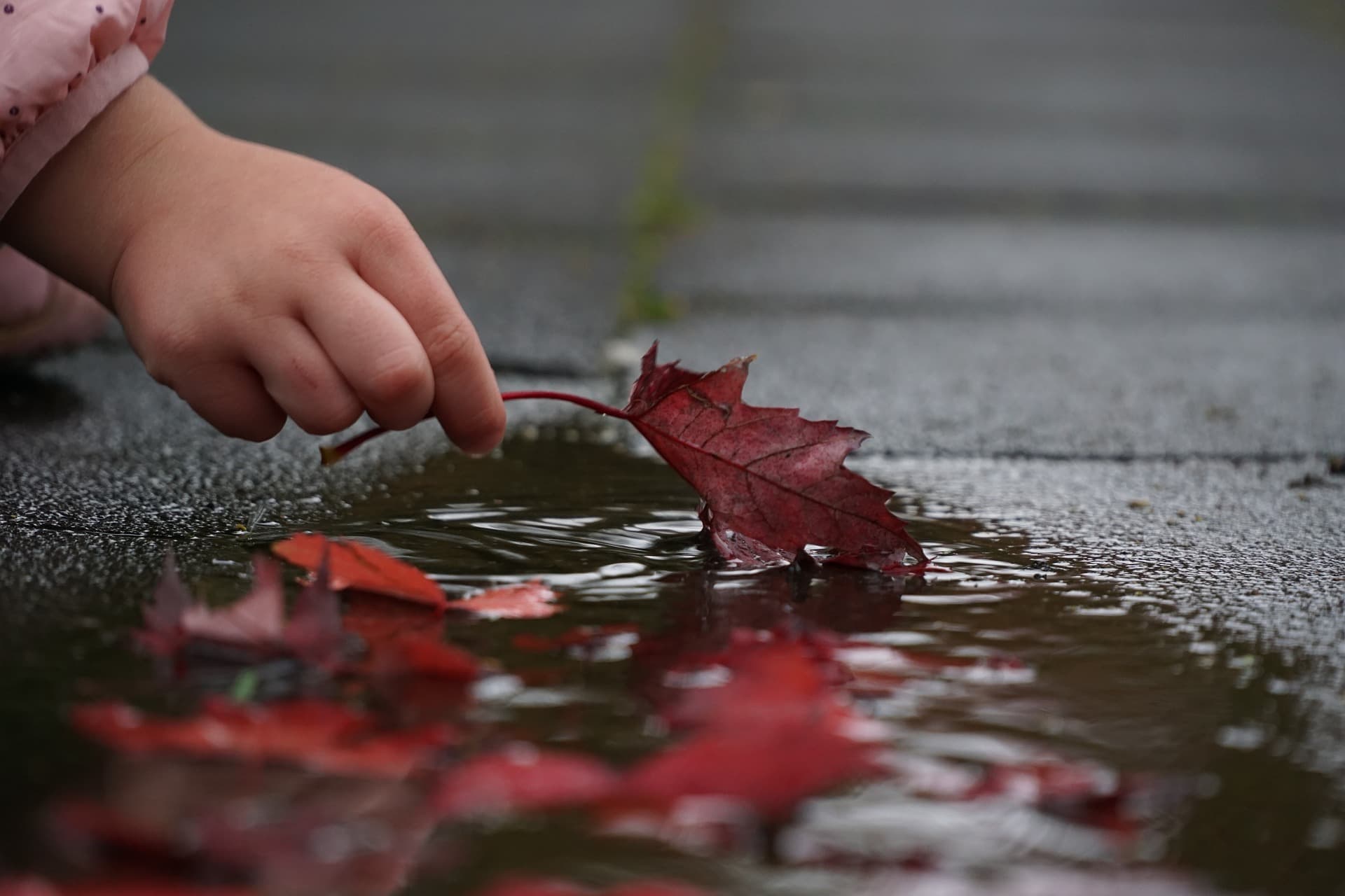 Der Herbst ist da