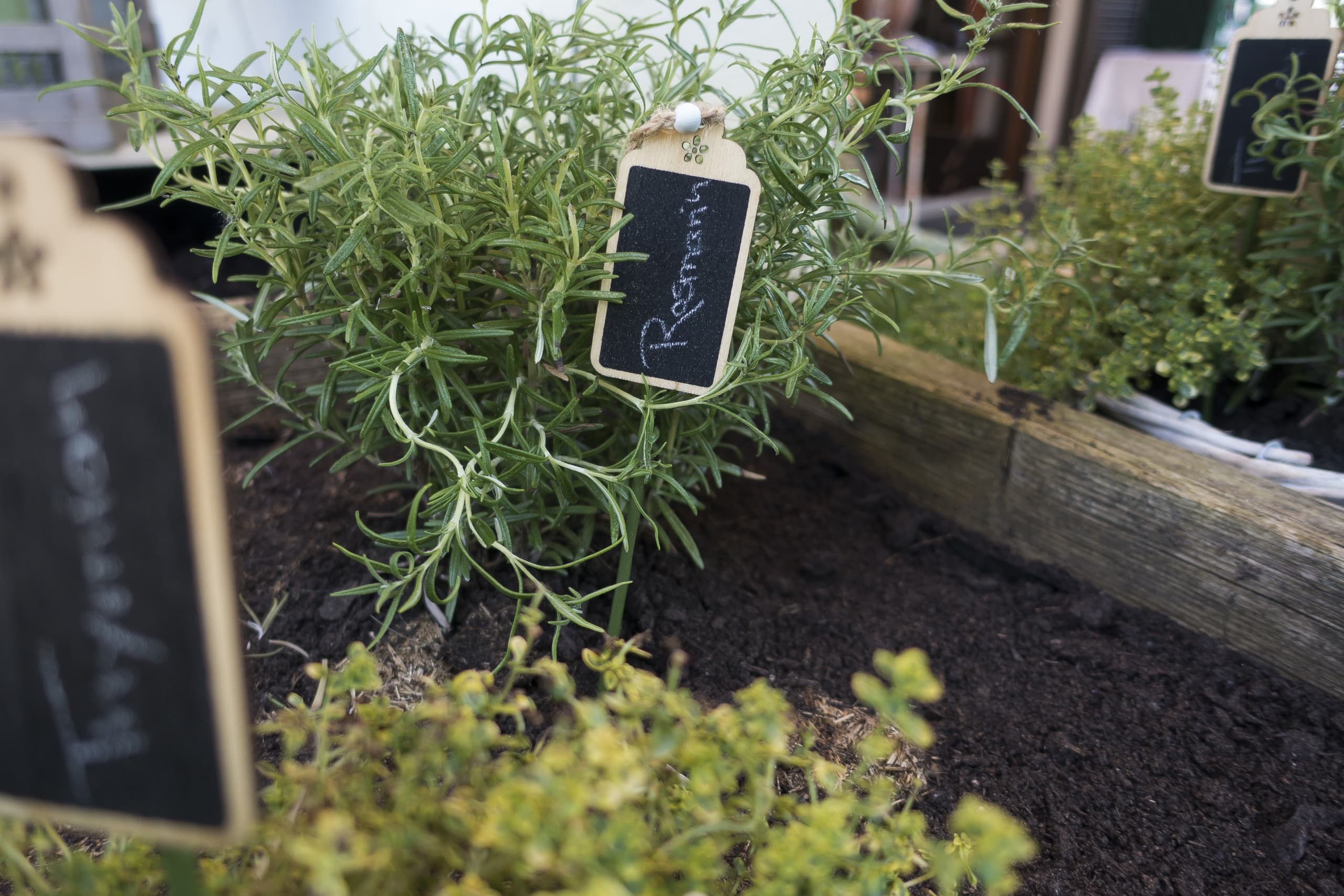 Gartenfreuden: Unser Hochbeet
